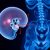 Pomiary główki płodu i radiologiczna ocena niewspółmierności porodowej