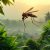 Malaria: objawy, leczenie i profilaktyka tej groźnej choroby